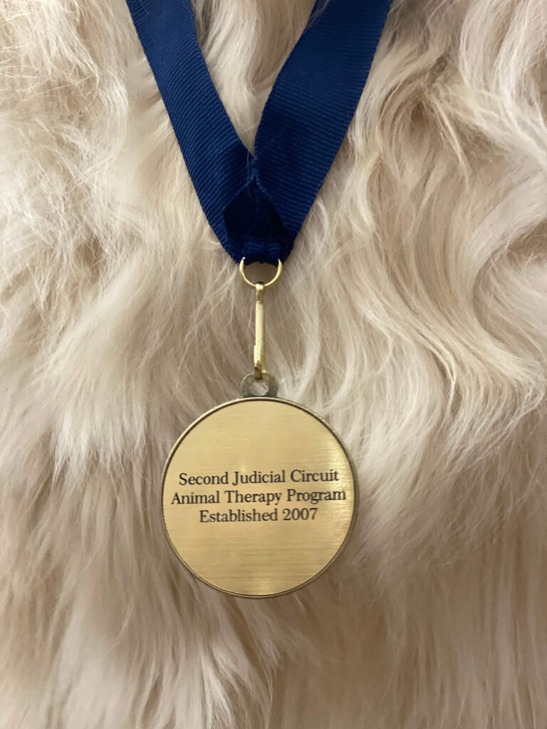 medal for second judicial circuit animal therapy program